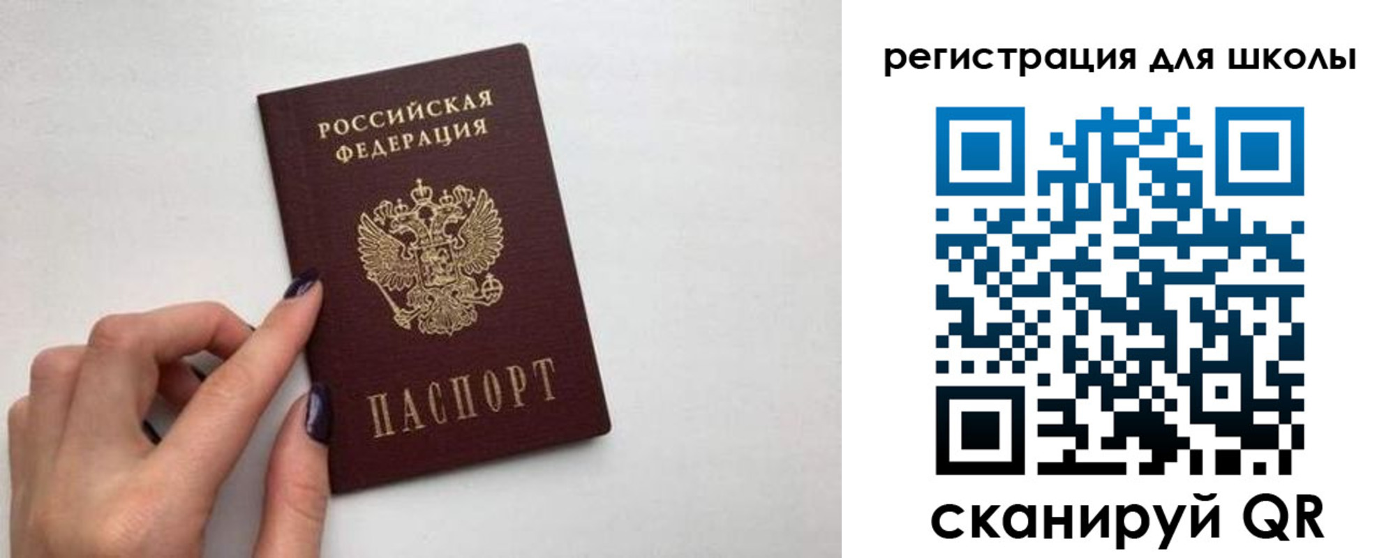пропишу в квартире в Владимире